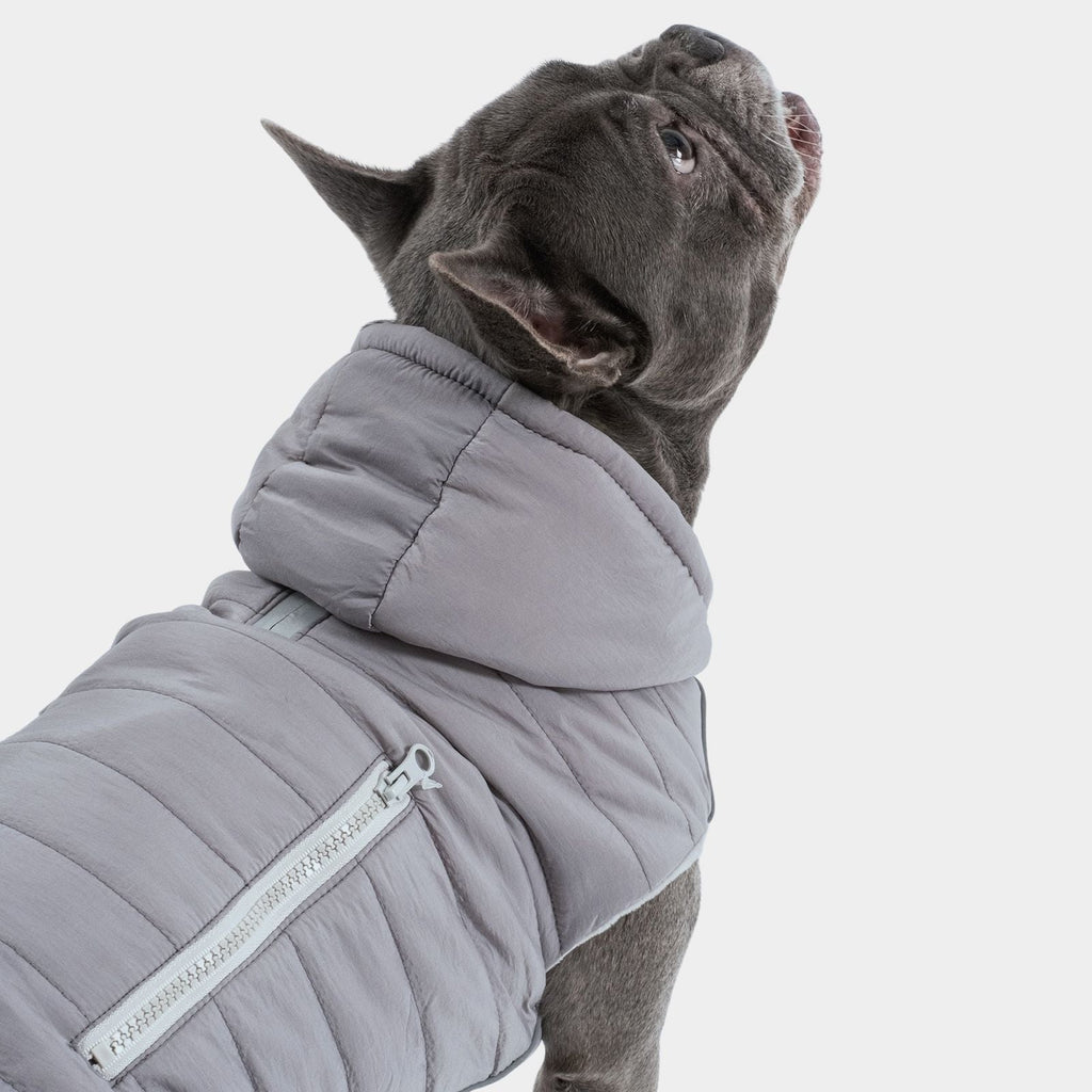Hundejacke IMMI Grau