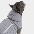 Hundejacke IMMI Grau